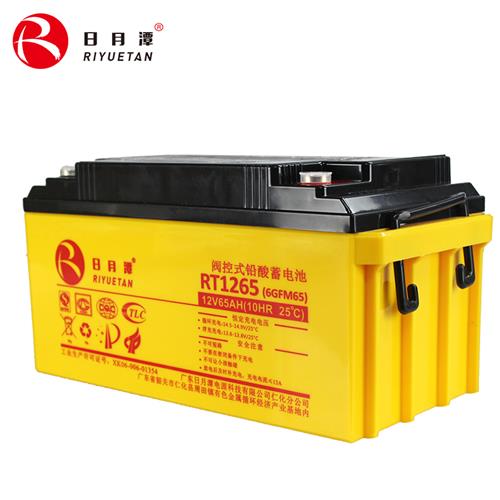 日月潭12V65AH RT系列EPS專(zhuān)用的標(biāo)準(zhǔn)AGM鉛酸蓄電池